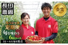【大好評の定期便】1月～6月毎月発送！6か月楽しめる長田農園旬のスペシャル定期便 野菜ソムリエサミット 金賞 受賞 長田農園  産地直送 トマト とまと 野菜 やさい フルーツ サラダ 濃厚 甘い ご褒美 プレゼント 美容 健康 リピート多数 人気 高評価 数量限定 碧南市 H004-166