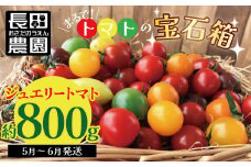 【お試し】まるでトマトの宝石箱！フルーツジュエリートマト 約800g  長田農園  産地直送 トマト とまと 野菜 やさい フルーツ サラダ 濃厚 甘い ご褒美 プレゼント 美容 健康 リピート多数 人気 高評価 先行受付 数量限定 碧南市 H004-115