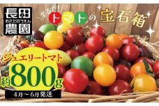 【2026年度予約分】【お試し】まるでトマトの宝石箱！フルーツジュエリートマト 約800g  長田農園  産地直送 トマト とまと 野菜 やさい フルーツ サラダ 濃厚 甘い ご褒美 プレゼント 美容 健康 リピート多数 人気 高評価 先行受付 数量限定 碧南市 H004-115