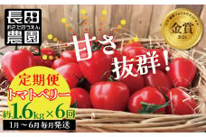 1月～6月毎月発送　幻のミニトマト　トマトベリーの定期便　6回コース  野菜ソムリエサミット 金賞 受賞 長田農園  産地直送 トマト とまと 野菜 やさい フルーツ サラダ 濃厚 甘い ご褒美 プレゼント 美容 健康 リピート多数 人気 高評価 数量限定 碧南市 H004-134