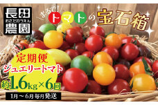 1月～6月毎月発送　まるでトマトの宝石箱！ジュエリートマトの定期便　6回コース 長田農園  産地直送 カラフル トマト とまと 野菜 やさい フルーツ サラダ 濃厚 甘い ご褒美 プレゼント 美容 健康 リピート多数 人気 高評価 先行受付 数量限定 碧南市 H004-164