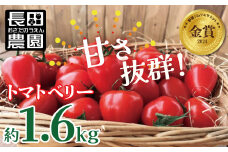 【2026年度予約分】甘さ抜群!トマト嫌いでも食べられるトマトベリー 約1.6kg 野菜ソムリエサミット 金賞 受賞 長田農園  産地直送 トマト とまと 野菜 やさい フルーツ サラダ 濃厚 甘い ご褒美 プレゼント 美容 健康 リピート多数 人気 高評価 先行受付 数量限定 碧南市 H004-116_Nov