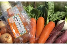 鈴盛農園”旬”の愛情野菜と碧南人参寒天ゼリー　H022-011