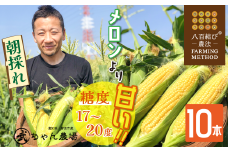 【2025年発送】朝採り直送 メロンより甘い 生とうもろこし“にっこりコーン” 10本　H095-026