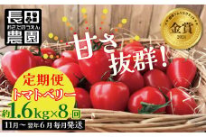 【先行受付!!】11月～6月毎月発送　幻のミニトマト　トマトベリーの定期便　8回コース【個数限定】  野菜ソムリエサミット 金賞 受賞 長田農園  産地直送 トマト とまと 野菜 やさい フルーツ サラダ 濃厚 甘い ご褒美 プレゼント 美容 健康 リピート多数 人気 高評価 数量限定 碧南市 H004-141