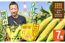 【2025年発送】【お試し】朝採り直送 メロンより甘い 生とうもろこし“にっこりコーン” 7本 H095-027