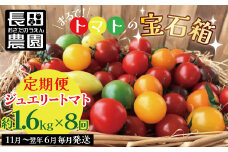 【先行受付】11月～6月毎月発送　まるで宝石箱!!ジュエリートマトの定期便　8回コース【個数限定】 長田農園  産地直送 カラフル トマト とまと 野菜 やさい フルーツ サラダ 濃厚 甘い ご褒美 プレゼント 美容 健康 リピート多数 人気 高評価 先行受付 数量限定 碧南市 H004-142