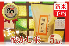【新米予約】【お米マイスター】ほっ♡懐かし米　5kg　H056-061