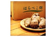 【お試し】とろける里芋『とろりん』土付き 1.8kg　H097-025