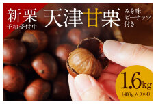 【新栗】先行予約 ！！この道50年の職人が焼く､やさしい甘みたっっっぷり！｢天津甘栗｣1.6kg みそ味ピーナッツ付き 焼きたて 栗 くり 栗爪 殻付き お菓子 おつまみ 人気 高リピート 小分け 栗ご飯 栗きんとん 甘露煮 予約 受付中 H045-057