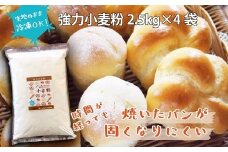 焼いたパンが固くなりにくい小麦粉 2.5kg×4袋(計10kg)　H008-178
