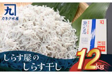 しらす屋のしらす干し 1kg×12個 12kg 魚介類 しらす シラス 国産 海の幸 ご飯のお供 おつまみ しらす丼 グルメ ギフト 贈り物 やみつき 冷凍 大容量 H006-071