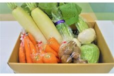 （2026年発送：予約受付中）旬の野菜をお届け！甘～い人参と地元野菜セット へきなん美人 にんじん　H025-010