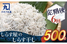 しらす屋のしらす干し　500ｇ×6ヶ月　定期便 魚介類 しらす シラス 国産 海の幸 ご飯のお供 おつまみ しらす丼 グルメ ギフト 贈り物 やみつき 冷凍 H006-085