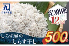 しらす屋のしらす干し 500ｇ×12ヶ月 定期便 魚介類 しらす シラス 国産 海の幸 ご飯のお供 おつまみ しらす丼 グルメ ギフト 贈り物 やみつき 冷凍 H006-086