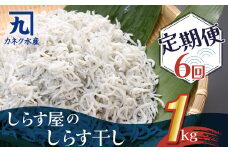しらす屋のしらす干し　１kg×6ヶ月　定期便 魚介類 しらす シラス 国産 海の幸 ご飯のお供 おつまみ しらす丼 グルメ ギフト 贈り物 やみつき 冷凍 H006-087