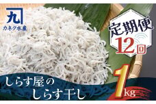 しらす屋のしらす干し １kg×12ヶ月 定期便 魚介類 しらす シラス 国産 海の幸 ご飯のお供 おつまみ しらす丼 グルメ ギフト 贈り物 やみつき 冷凍 H006-088