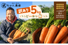 【食品ロス削減】（ 訳あり ）甘さと栄養で体も笑う武ちゃん農場の“ハッピーキャロット” 5㎏　H095-022
