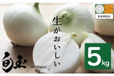 (2026年発送)新玉ねぎ 生がおいしい 神重農産のブランド玉ねぎ「旬玉」5kg ブランド玉ねぎ 玉ねぎ 国産 愛知県産 野菜 やさい 農家直送 畑直送 旬 期間限定 たまねぎ 先行予約 旬 特産 高評価 高リピート 人気 H105-148