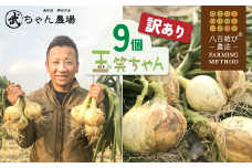 【食品ロス削減】（訳あり）笑顔で笑顔を作る武ちゃん農場の新玉ねぎ“玉笑ちゃん” 9個　H095-030