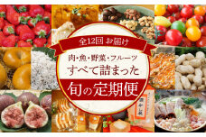 【全12回】厳選！肉・魚・野菜・フルーツすべて詰まった旬の定期便(毎月お届け） H028-078