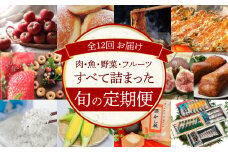 【全12回】肉・魚・野菜・フルーツすべて詰まった旬の定期便(毎月お届け） H028-077