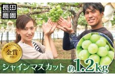 皆さんの応援から実った シャインマスカット 約1.2kg（2房）【数量限定】 フルーツ 果物 長田農園  産地直送 甘い ご褒美 プレゼント 美容 健康 リピート多数 人気 高評価 碧南市 H004-151