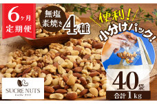 無塩の素焼きミックスナッツ　小分け40袋(計1㎏)　6ヶ月定期便 アーモンド カシューナッツ マカダミアナッツ くるみ 生ナッツ 直火焙煎 おつまみ おやつ 大満足 美容 健康 人気 高リピート　H059-155