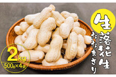 生落花生 おおまさり 2kg とれたて 耕地の美味しい野菜シリーズ第1弾　H132-028