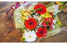 【クリスマス・お正月】栄光・炎の花　グロリオサの花束 （サイズ小）　H092-051