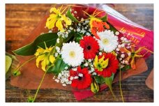 【クリスマス・お正月】栄光・炎の花 グロリオサの花束(サイズ中)　H092-064