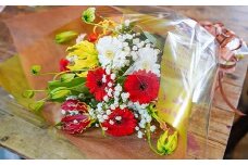 【クリスマス・お正月】栄光・炎の花 グロリオサの花束(サイズ大)　H092-065