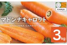 ＜フジテレビ『どっちのふるさと？』で紹介されました！＞こどもも食べられる甘み！ジュースにしても美味しい！「マドンナキャロット」 3kg にんじん 人参 ニンジン 野菜 やさい 国産 碧南市 健康 甘い 先行予約 旬 特産 高評価 高リピート 人気 H105-122