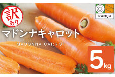 ＜フジテレビ『どっちのふるさと？』で紹介されました！＞訳あり！こどもも食べられる甘み！「マドンナキャロット」 5kg にんじん 人参 ニンジン 野菜 やさい 国産 碧南市 健康 食品ロス削減 甘い 先行予約 旬 特産 高評価 高リピート 人気 H105-145