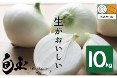 (2026年発送)新玉ねぎ 生がおいしい 神重農産のブランド玉ねぎ「旬玉」10㎏ ブランド玉ねぎ 玉ねぎ 国産 愛知県産 野菜 やさい 農家直送 畑直送 旬 期間限定 たまねぎ 先行予約 旬 特産 高評価 高リピート 人気 H105-149