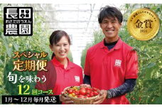 【個数限定】毎月発送!1年楽しめる長田農園 旬のスペシャル定期便 野菜ソムリエサミット 金賞 受賞 長田農園  産地直送 カラフル トマト とまと 野菜 やさい フルーツ サラダ 濃厚 甘い ご褒美 プレゼント 美容 健康 リピート多数 人気 高評価 数量限定 碧南市 H004-168
