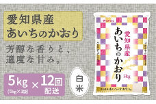 愛知県産あいちのかおり 5kg ※12回定期便　米 こめ コメ 白米 ごはん  国産 精米 5キロ  安心安全なヤマトライス　H074-653