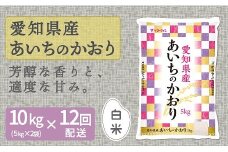 愛知県産あいちのかおり 10kg ※12回定期便　こめ コメ ごはん 安心安全なヤマトライス 米 白米 国産 精米 10キロ　H074-660