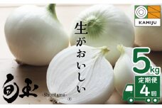 (2026年発送)【事前予約】新玉ねぎ 食べ比べ定期便 生がおいしい 神重農産のブランド玉ねぎ「旬玉」5㎏×4回 ブランド玉ねぎ 玉ねぎ 新玉ねぎ 国産 愛知県産 野菜 やさい 農家直送 畑直送 旬 たまねぎ 先行予約 旬 特産 高評価 高リピート 人気 H105-128
