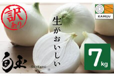 (2026年発送)訳あり 新玉ねぎ 生がおいしい 神重農産のブランド玉ねぎ「旬玉」7kg ブランド玉ねぎ 玉ねぎ 国産 愛知県産 野菜 やさい 農家直送 畑直送 旬 期間限定 たまねぎ 先行予約 旬 特産 高評価 高リピート 人気 H105-150