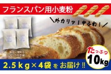 フランスパン用小麦粉 準強力粉 2.5kg×4袋(計10kg) バゲットやハードパンに　H008-177
