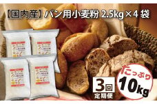【小麦粉】国内産100％ パン用 小麦粉 強力粉 2.5kg×4袋（計10kg） 定期便3回　H008-187