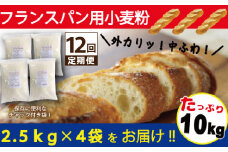 フランスパン用小麦粉 準強力粉 10kg(2.5kg×4袋) 定期便12回　H008-198