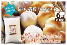 焼いたパンが固くなりにくい小麦粉 10kg(2.5kg×4袋) 定期便6回　H008-200
