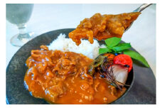 碧南DELIシリーズ お肉惣菜 無添加 とろける牛すじカレー 約800g(200g×4食)　H080-037