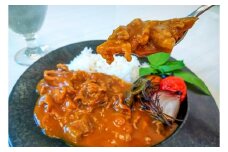 碧南DELIシリーズ お肉惣菜 無添加 とろける牛すじカレー 約800g(200g×4食) 洋食 カレー 国産 和牛 牛肉 中辛 野菜 煮込み　H080-037