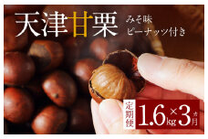 【旬限定の定期便】( 先行予約 ) この道50年の職人が焼く､やさしい甘みたっっっぷり！｢天津甘栗｣1.6kg! みそ味ピーナッツ付き 焼きたて 栗 くり 栗爪 殻付き お菓子 おつまみ 人気 高リピート 小分け 栗ご飯 栗きんとん 甘露煮 予約 受付 H045-059