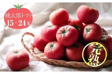 この道40年の農家から直送 完熟！桃太郎トマト15～24玉　H139-020
