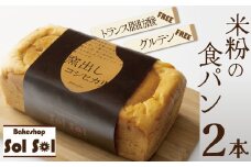 グルテンフリー 米粉食パン 窯出しコシヒカリ 2本　H083-017