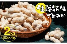 生落花生 さとのか 2kg 高鮮度保持フィルム使用　耕地の美味しい野菜シリーズ第5弾　H132-029